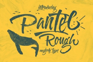 Enhance Your Editorial Design with Pantel Rough